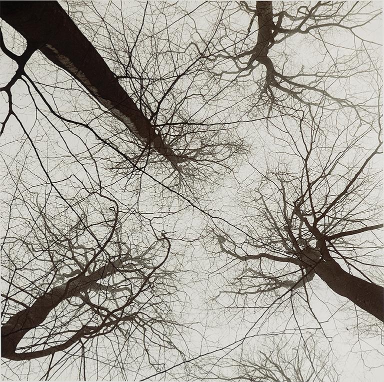 FREDERIK LIEBERATH, photography, archival pigment print. Signed and numbered 1/7 on verso.
