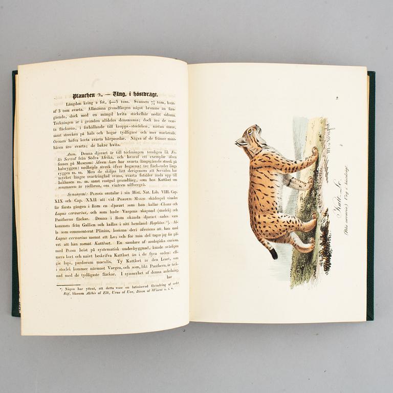 Med 200 litograferade zoologiska planscher, 1832-40, (2 vol).
