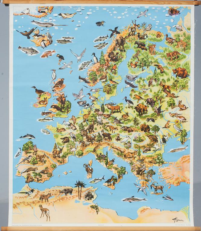 SKOLPLANSCHER, 2st. Georg Westermann Verlag, Tyskland, 1900-tal.