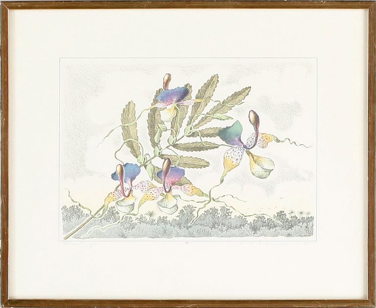 KARL AXEL PEHRSON, 2st,  färglitografier, signerade, numrerad H.C XXVI/XXXV samt provtryck. Daterade -73/74.