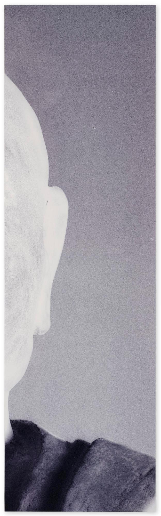 Mike & Doug Starn (Starn Twins), "Ganjin Head Lambda (positive)", 2000-2004.
