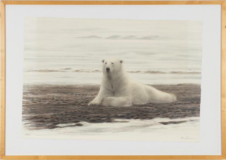 Lars Jonsson, Polar Bear.