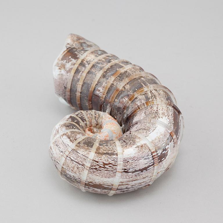 CLAES UVESTEN,