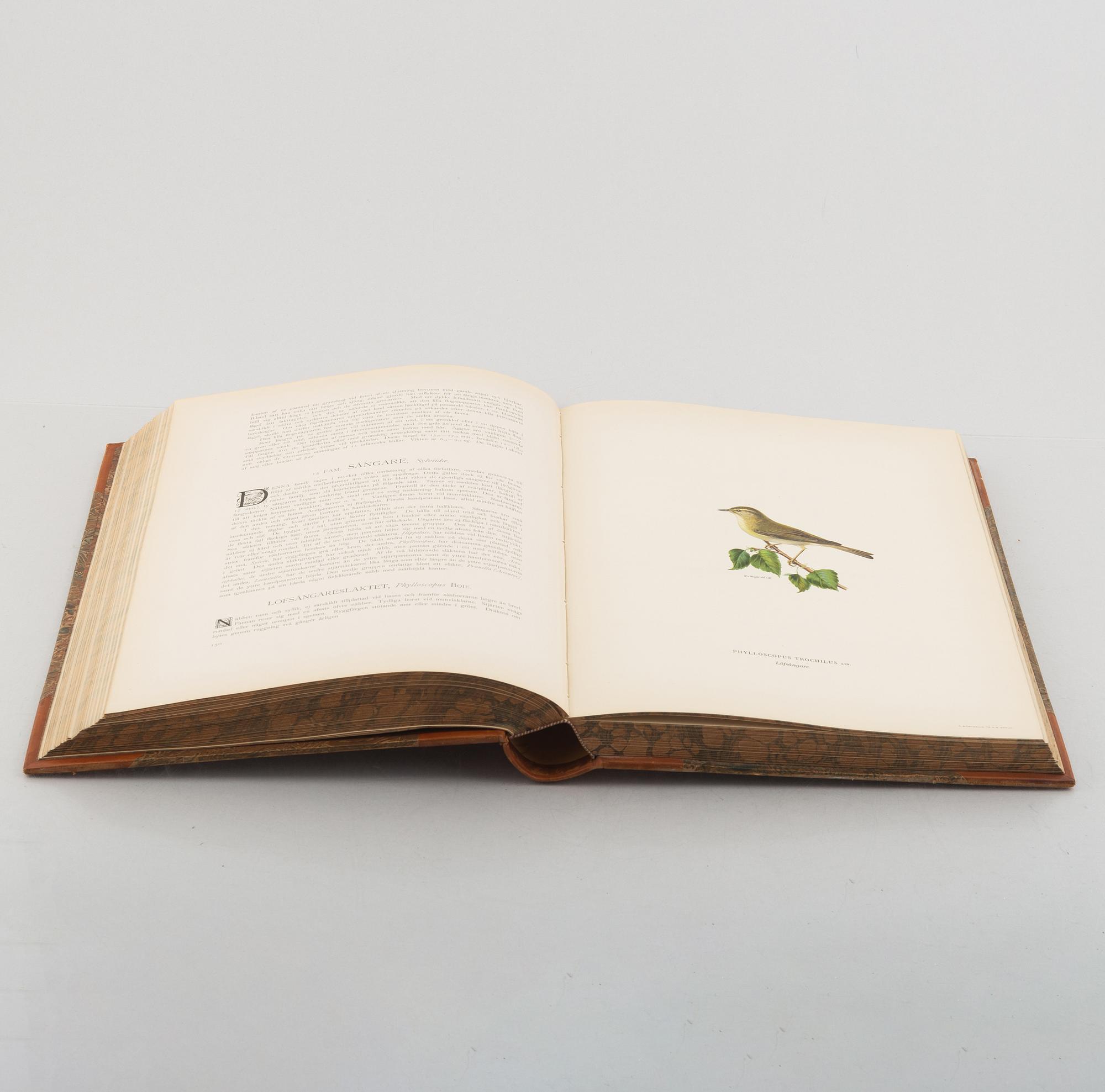 Bröderna von Wright, books 3 vol "Svenska fåglar", A. Börtzells tryckeri AB, Stockholm 1924-29.