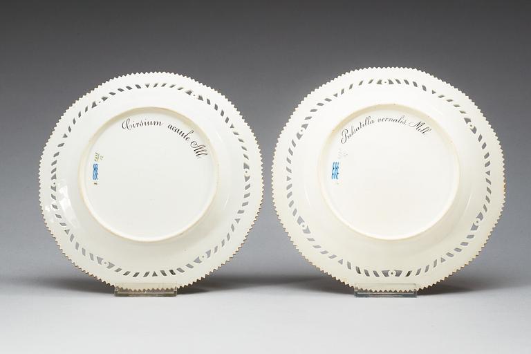 DESSERTTALLRIKAR, 18 stycken, porslin. "Flora Danica", Kunglig Dansk, 1900-tal.