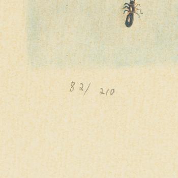 Lena Cronqvist, Untitled.