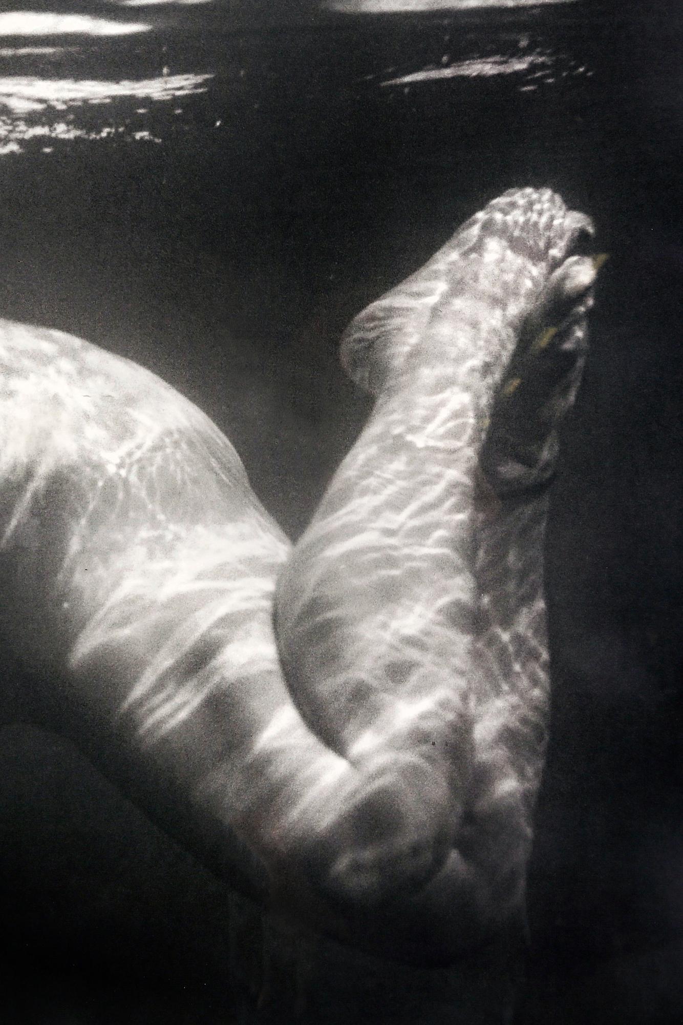 Per Wichmann, photo, 1996, signed and dated.