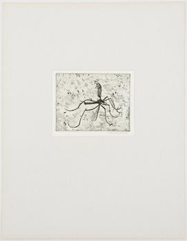 Hans Wigert, Mosquito.