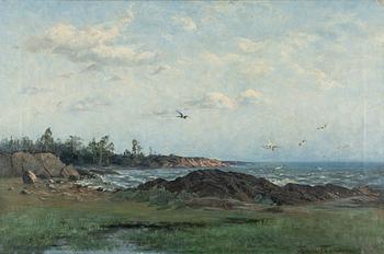 Fanny Sundberg, Coastal Landscape with Birds.