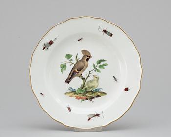 385. A 19th century Meissen plate.