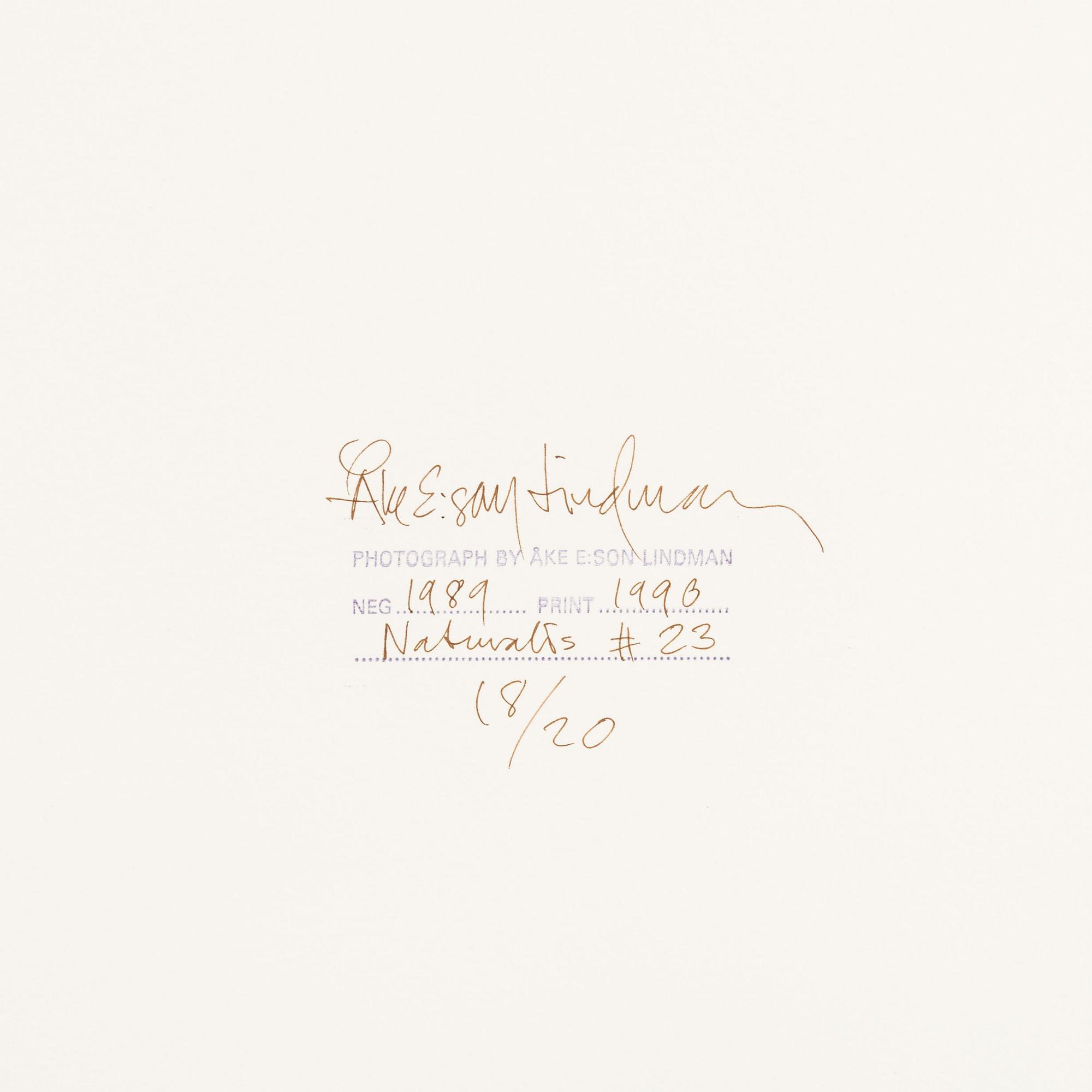 Åke E:son Lindman & Sven Westerlund, portfolio, 2 + 2 photos, signed 18/20.