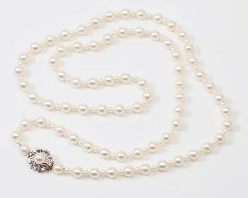 COLLIER, odlade pärlor, lås 18K vitguld.