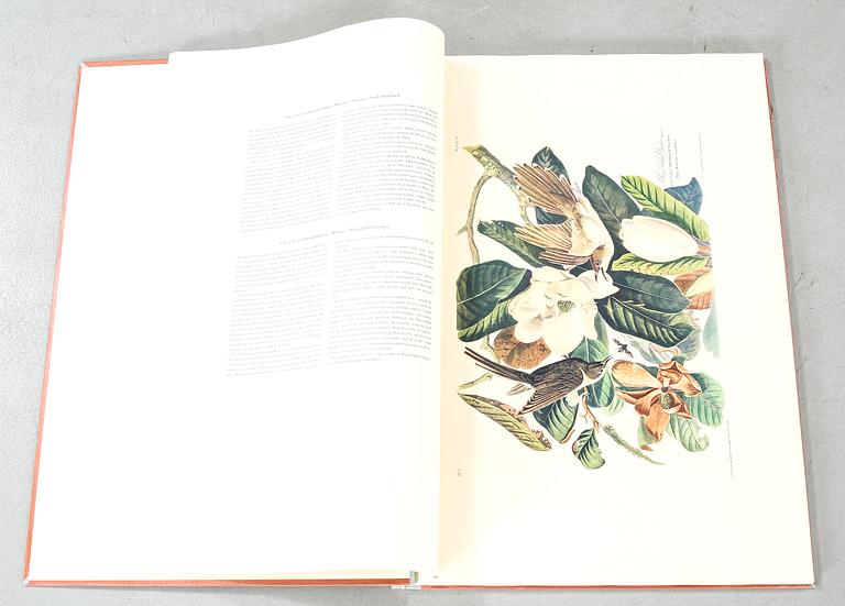 The book "The Birds of America", volume II, by John James Audubon, numbered 178/500, 1973.
