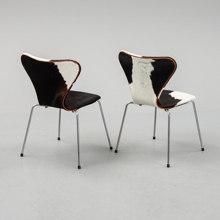 Arne Jacobsen, stolar, 6 st, "Sjuan", för Fritz Hansen, Danmark, 1900-talets andra hälft.
