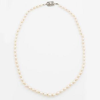 Collier med doserade odlade pärlor,  lås 14K vitguld med gammalslipade diamanter.