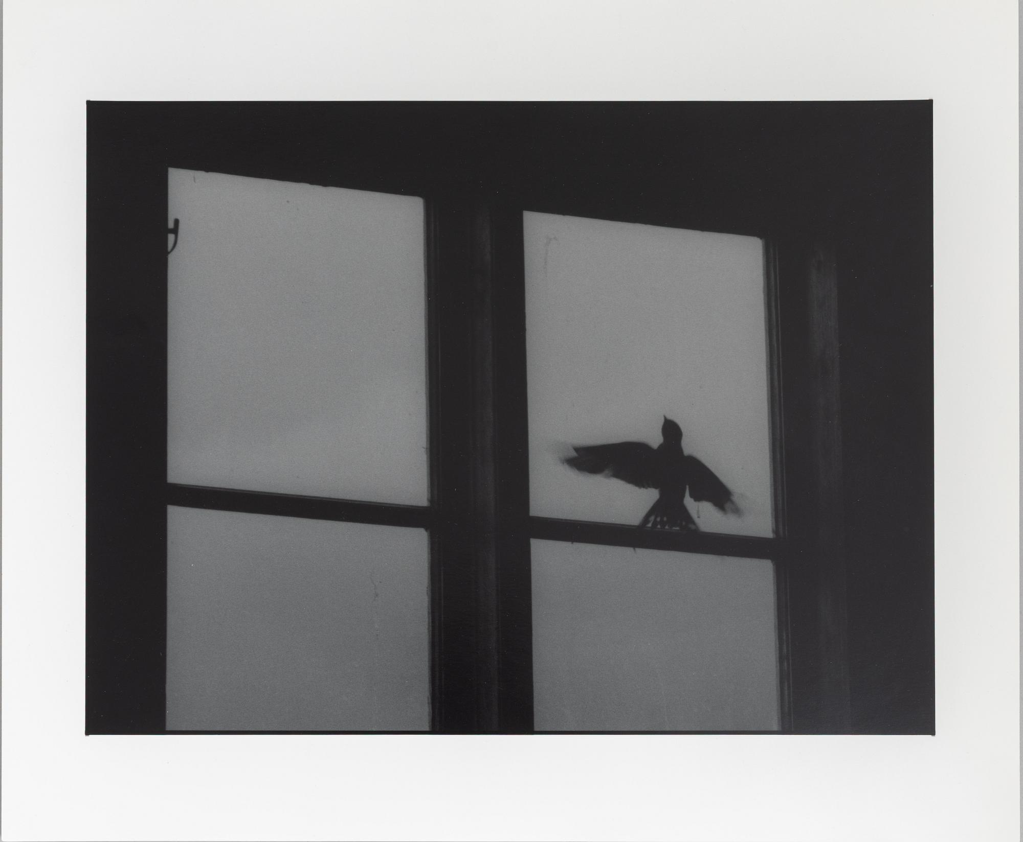 Kenneth Gustavsson, "Utan titel (fågel i boa)", 1985.
