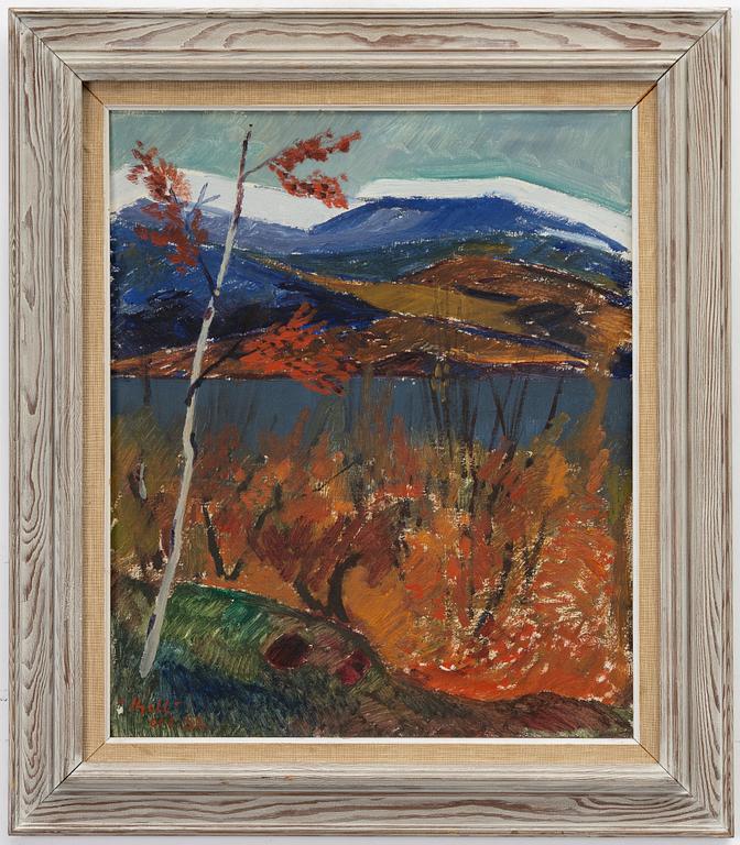 Kjell Leander-Engström, Mountain landscape.