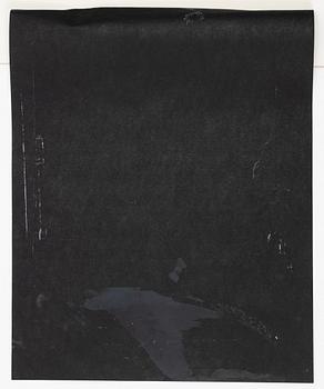 CO Hultén, Untitled.