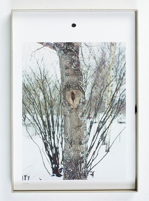 Andreas Eriksson, Almanacka 2011.