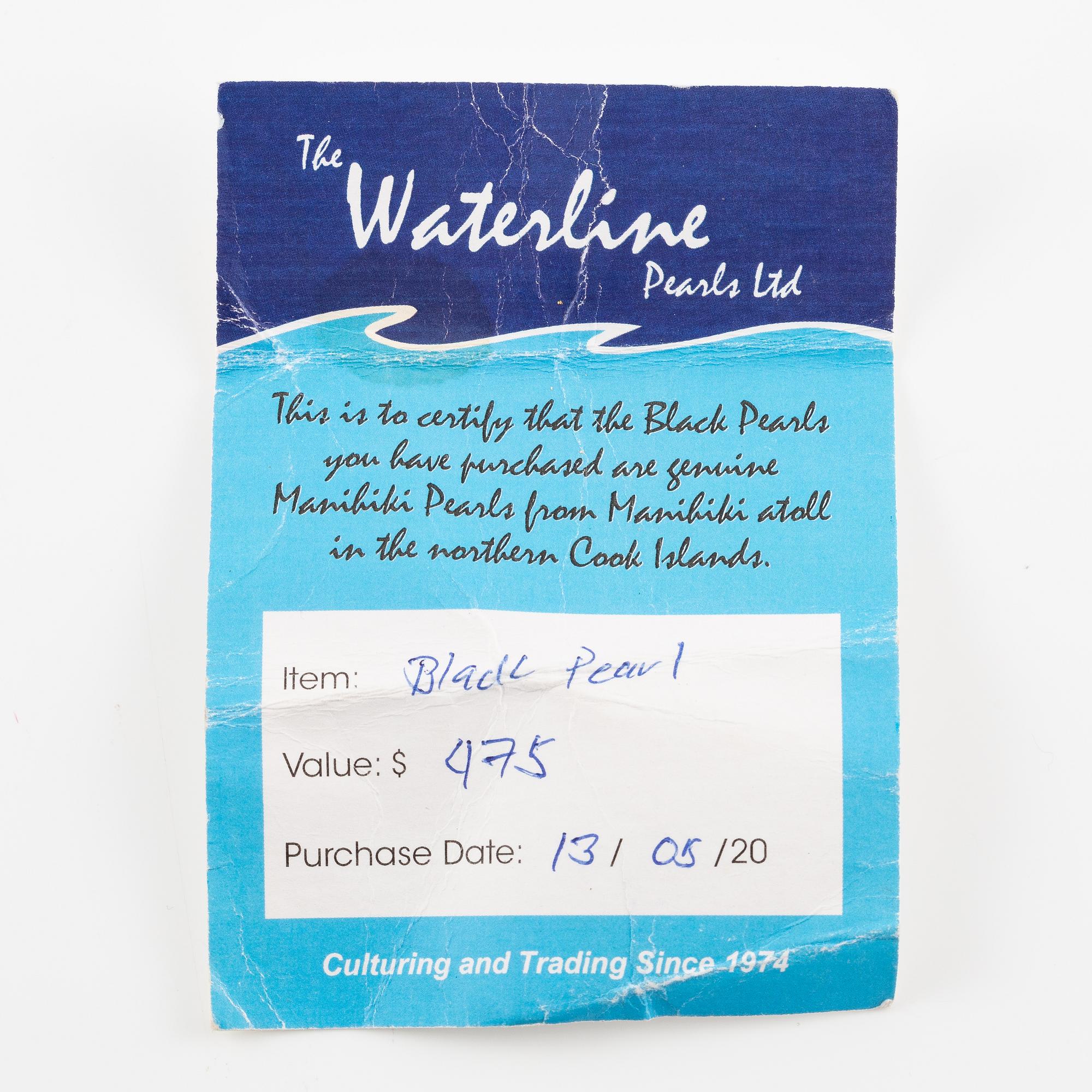 Örhängen, ett par, 18K guld med odlade pärlor.