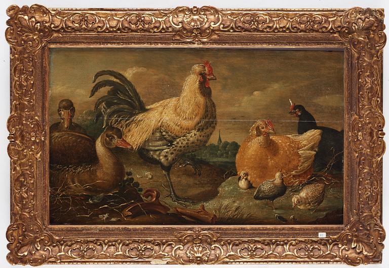 Gijsbert Gillisz. de Hondecoeter Attributed to, The duck and chicken family.