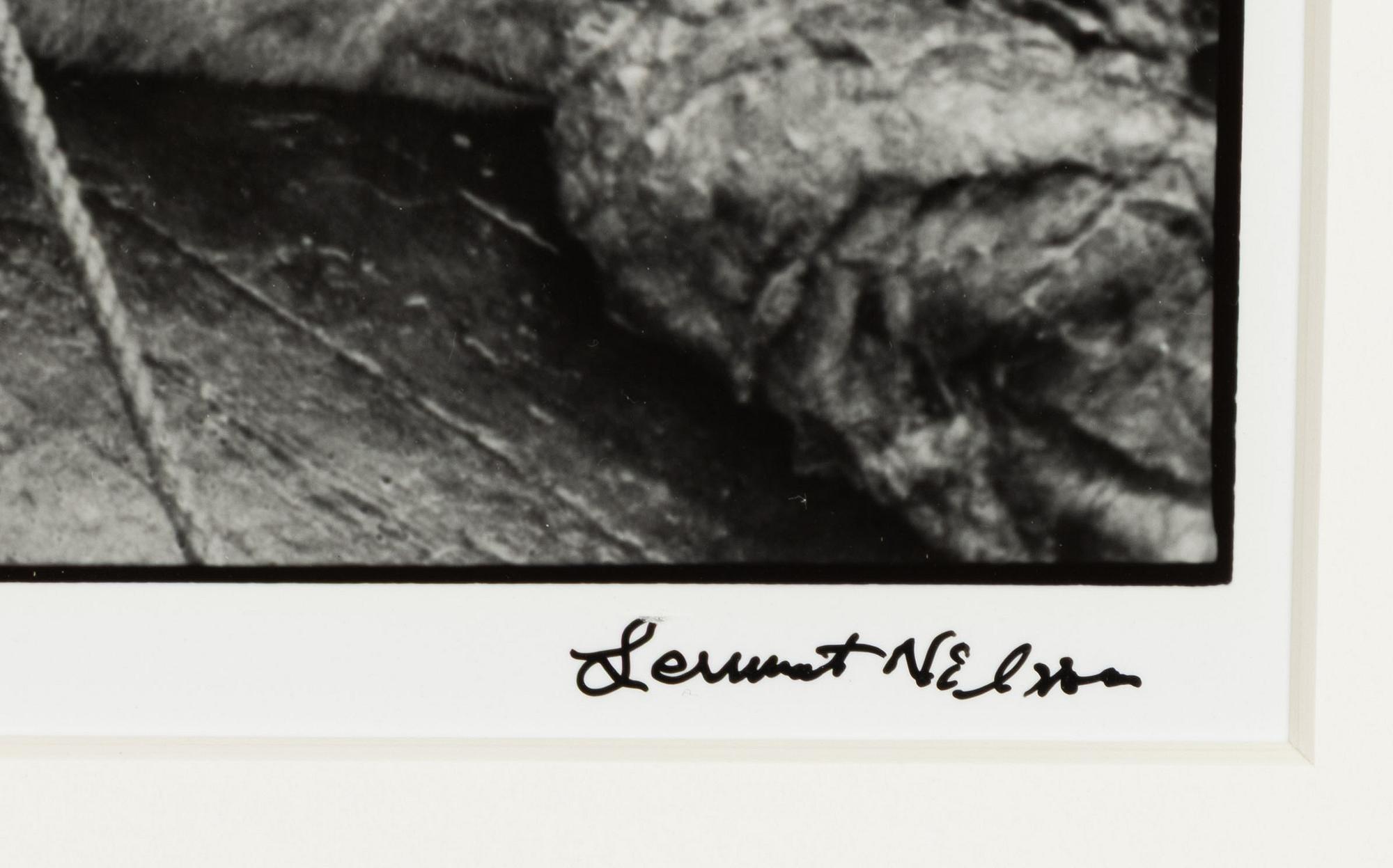 Lennart Nilsson,  "Isbjörnsjakt vid Hvitøya (Vitön), Svalbard, Norge 1947".