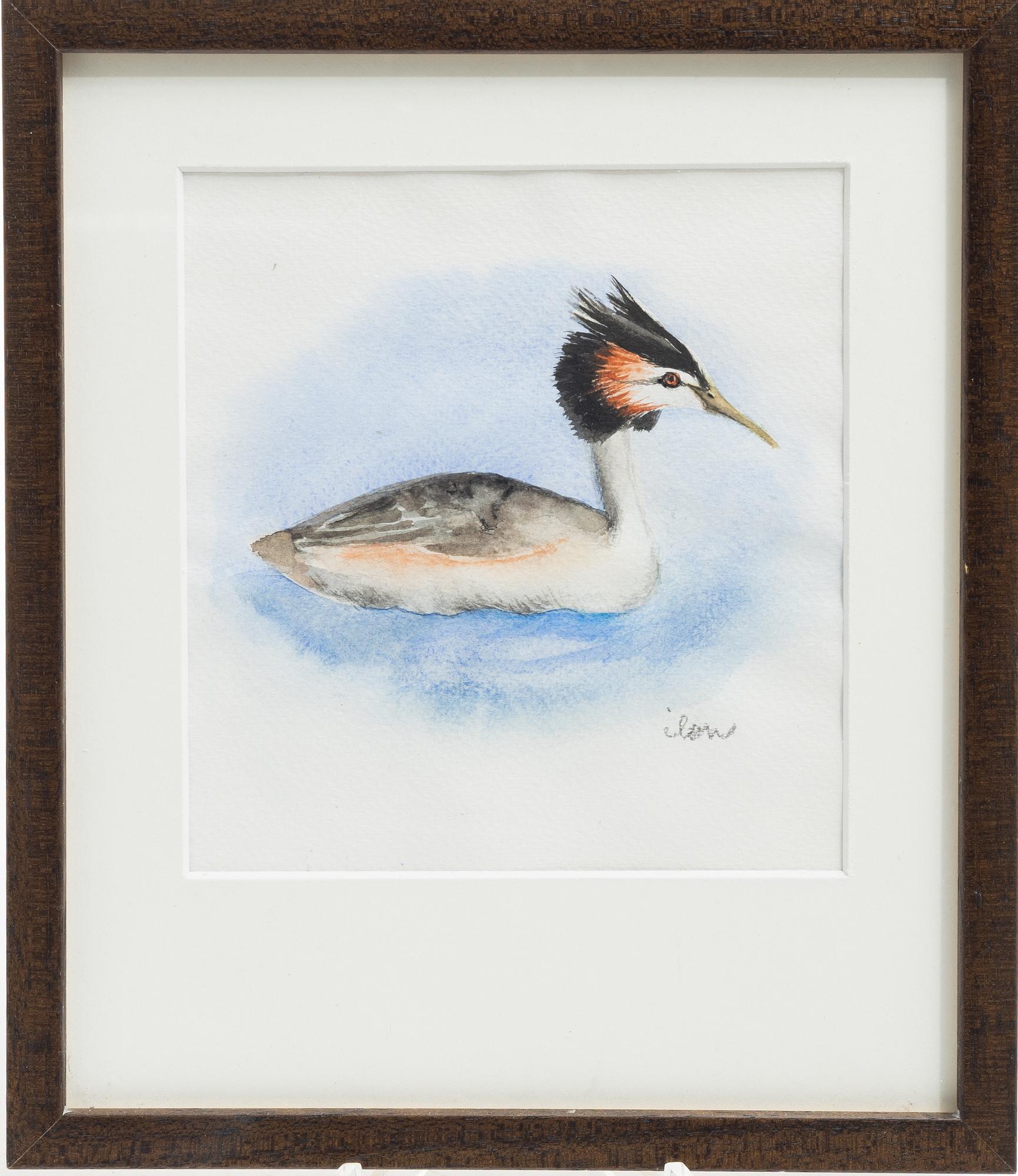 Ilon Wikland, Black-necked grebe.