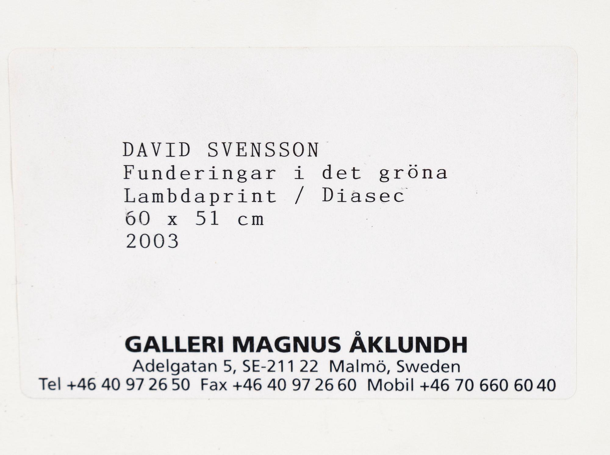 David Svensson, "Funderingar i det gröna", 2003.