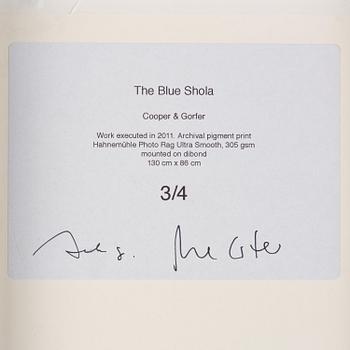 Cooper & Gorfer, "Blue Shola", 2011.