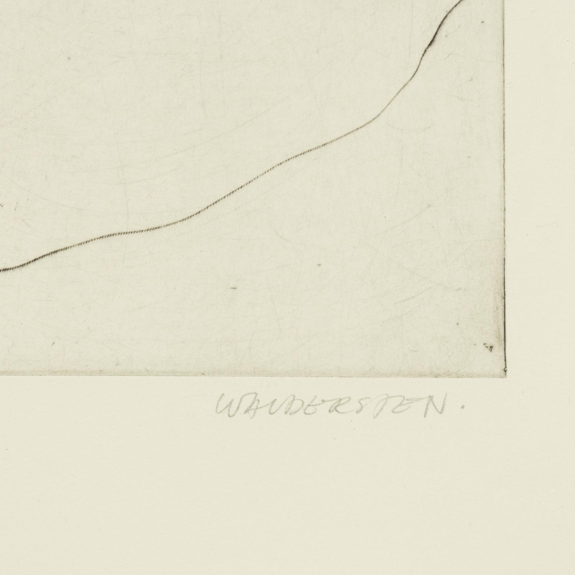 Jesper Waldersten,  'Kaos La Frentica'.