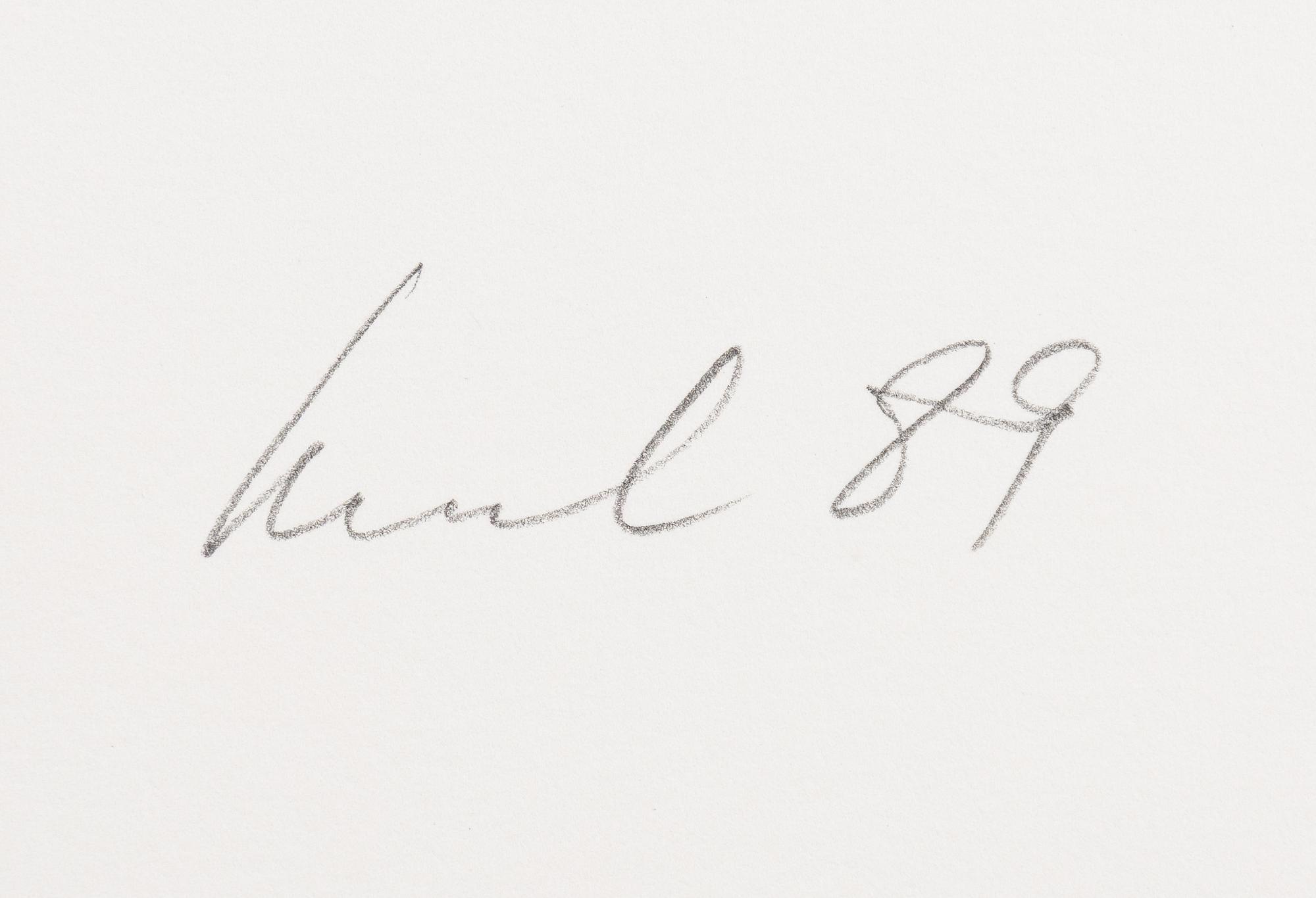 Raul Meel, "Windows and Landscape 3".