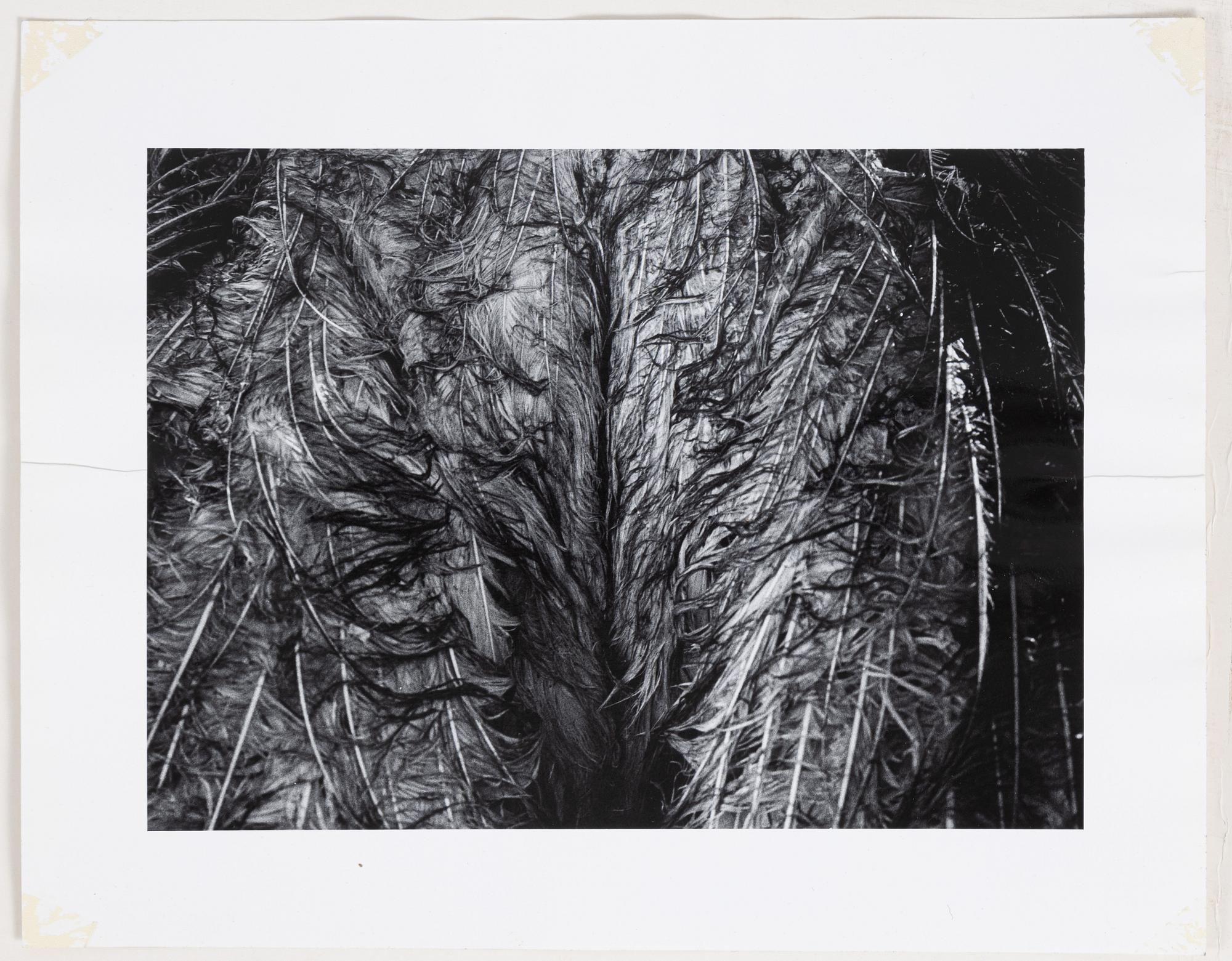 Christer Strömholm, From the series "Där alla änglar fallit", 25 photographs.
