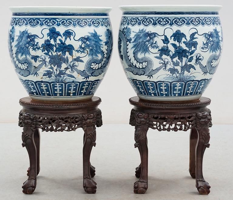 A pair of large blue and white fish basins/flower pots, late Qing dynasty, circa 1900.