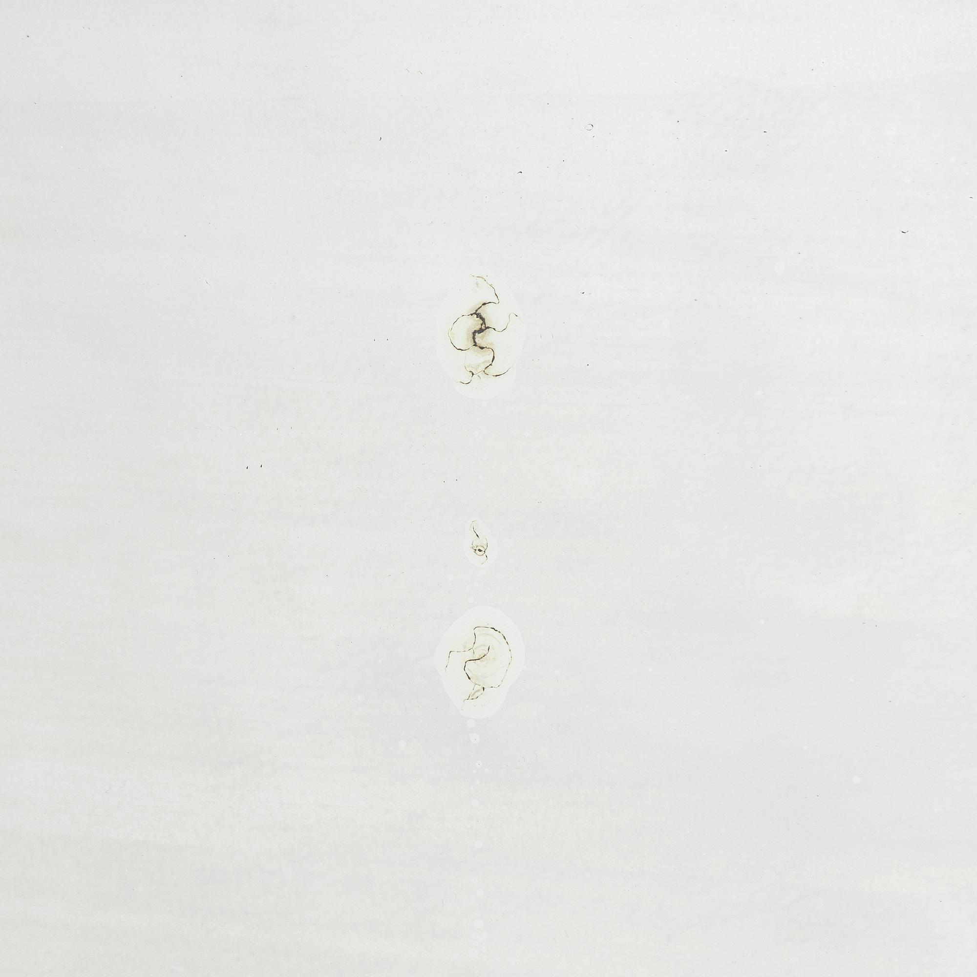 Mirror, by Jonas Frisk (mirror manufacturer in Stockholm 1805-1824), Empire.