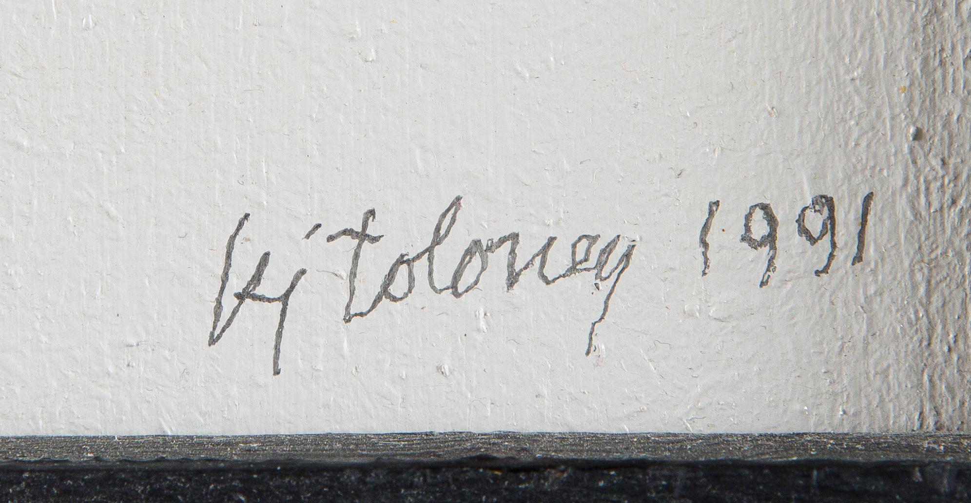 Kari Juhani Tolonen, "Kadonnutta aikaa etsimässä".