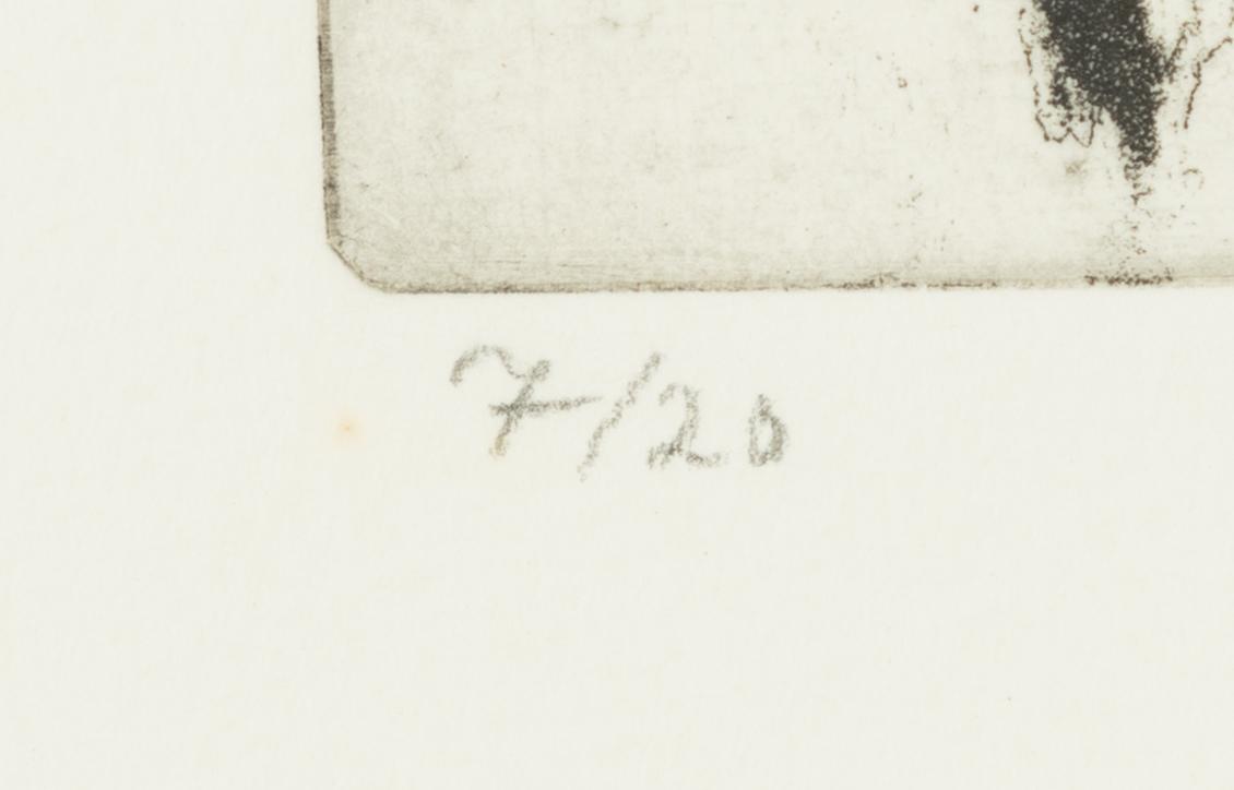 Lena Cronqvist, Porträtt.