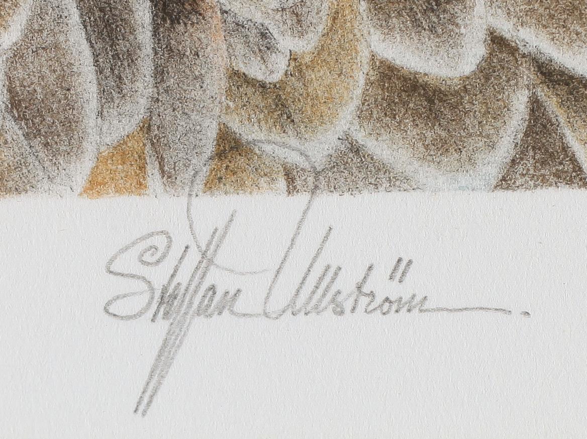 STAFFAN ULLSTRÖM, färglitografi, signerad, numrerad 10/75.