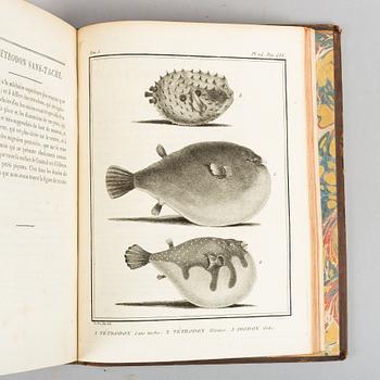 With 132 engraved plates of fishes and whales.