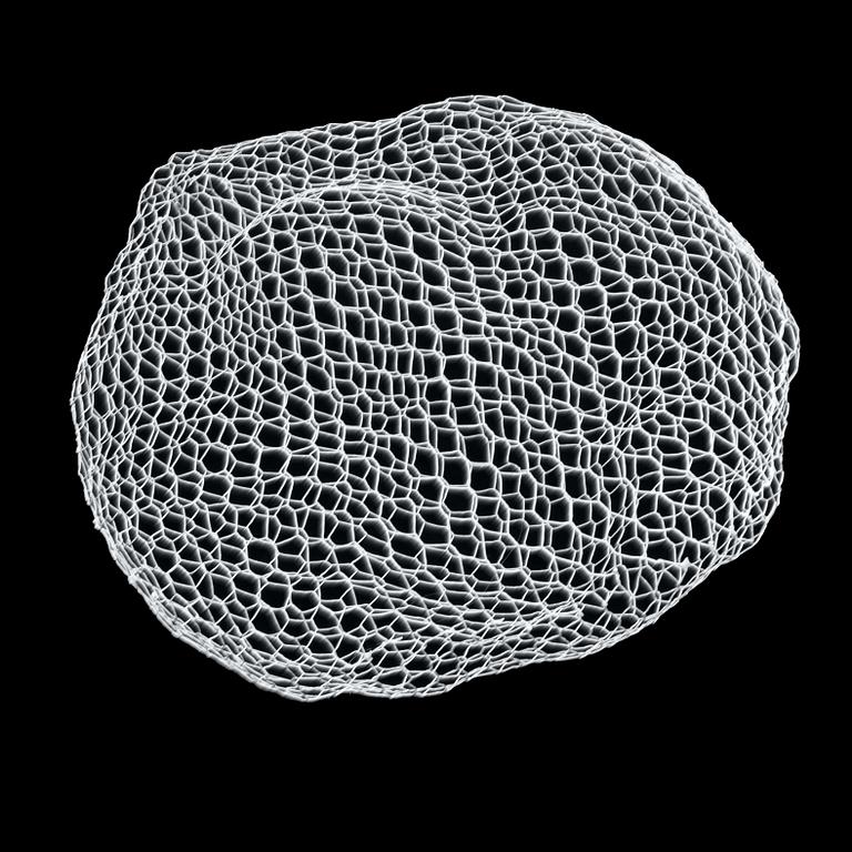 Benedetta Mori Ubaldini, 2 mobiles, 'Cloud medium' + 'Cloud small'.