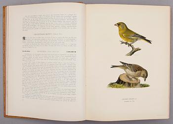 BÖCKER, 3 vol, "Svenska Fåglar", M,W & F von Wright, Stockholm 1927 och 1929.