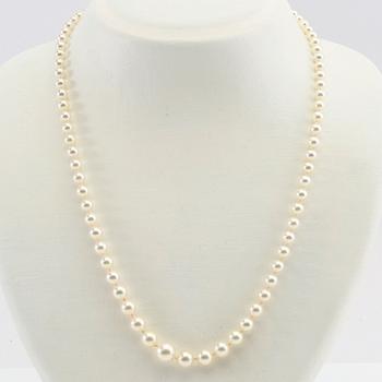 Necklace and bracelet of cultured pearls.