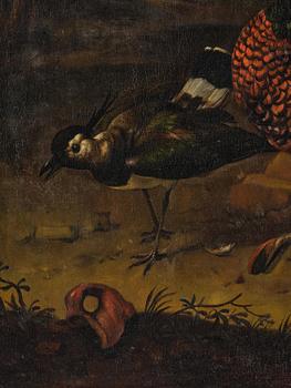 Melchior de Hondecoeter His art, Wild birds in a park landscape.