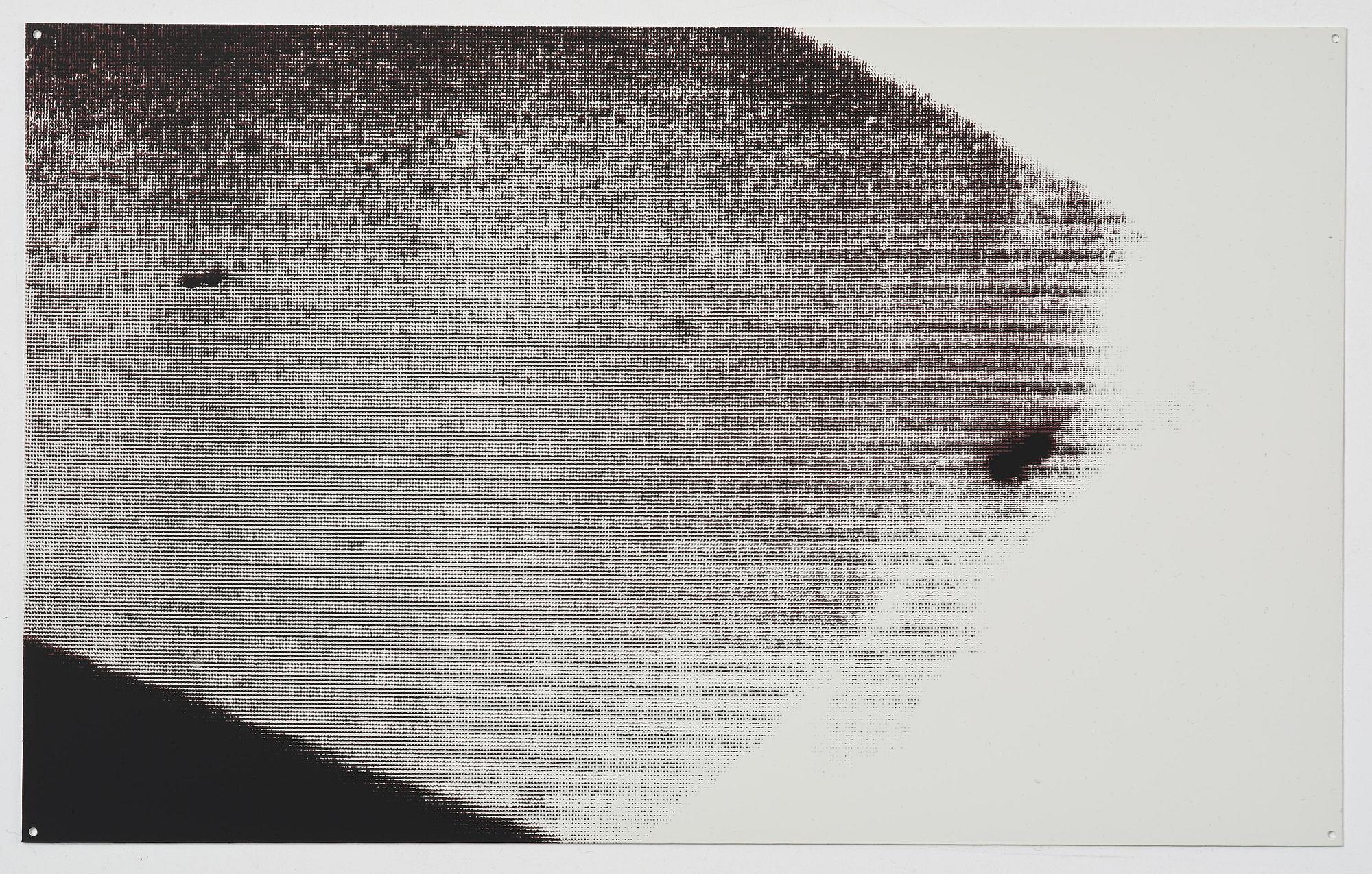 Rosemarie Trockel & Kirsten Ortwed, "Blue Box", 1990.