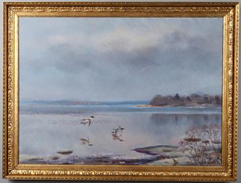 Lindorm Liljefors, BIRDS BY THE SHORE, ÅLAND.