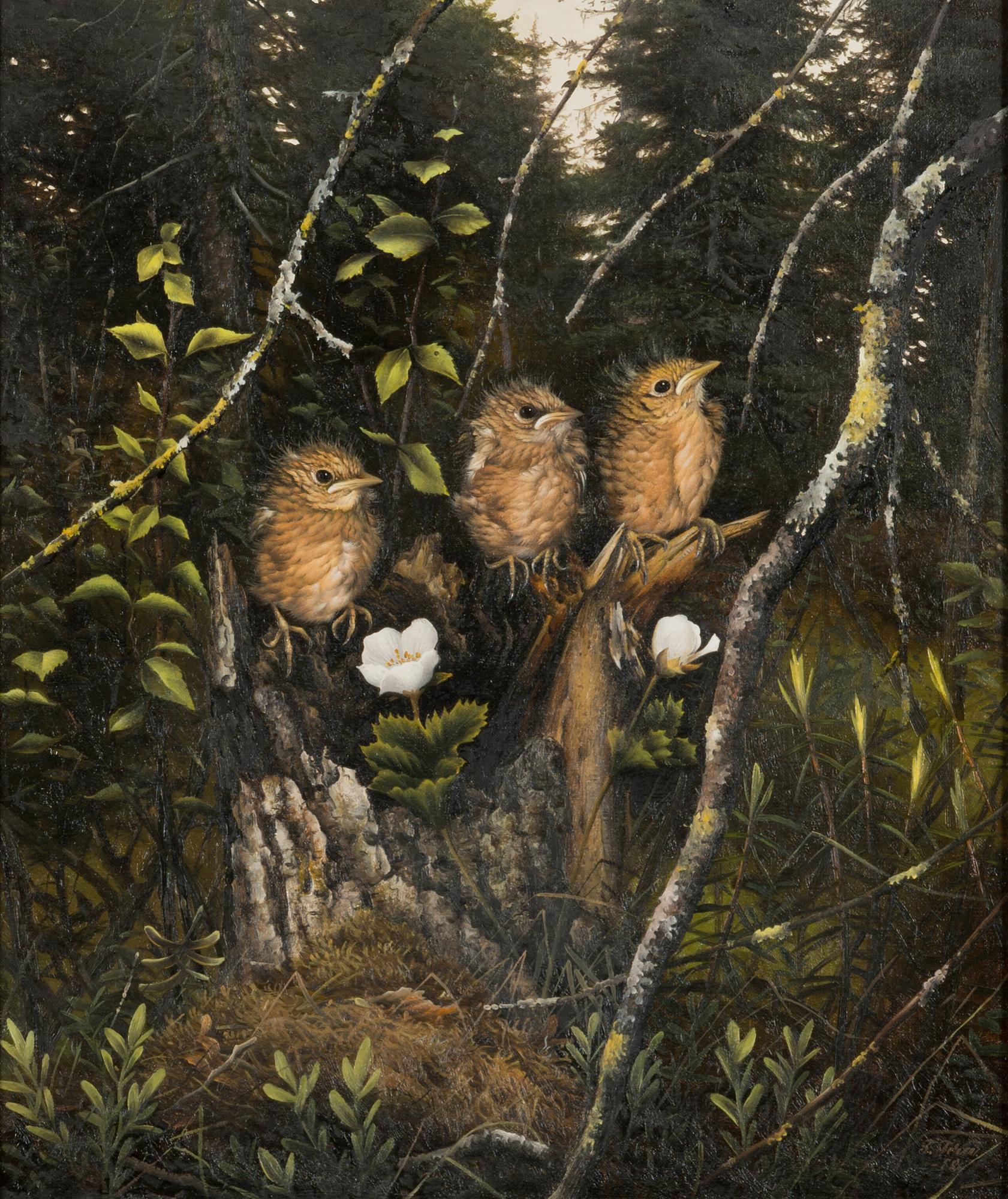 Teppo Terä, 'Baby birds'.