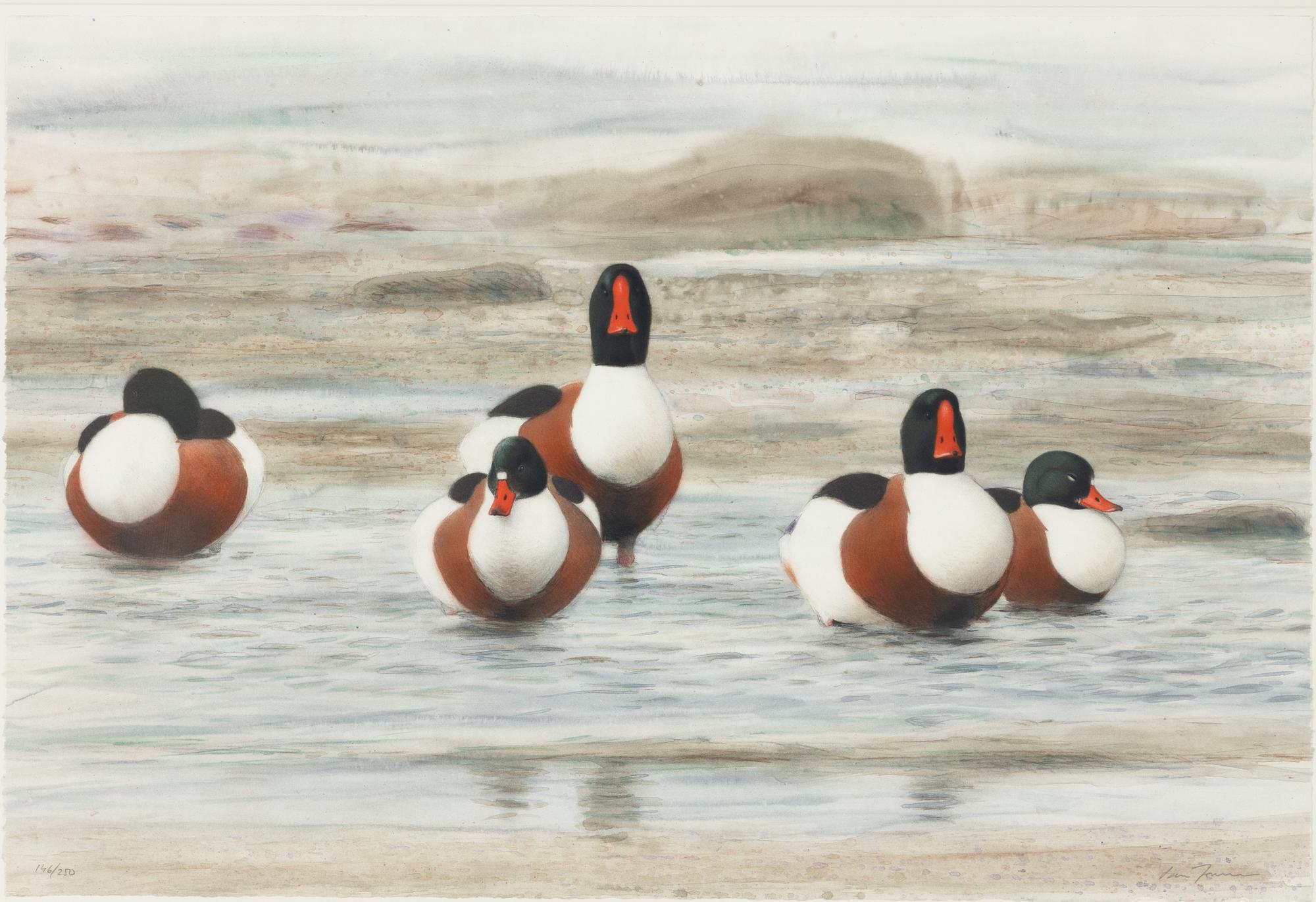 Lars Jonsson, Gravänder.