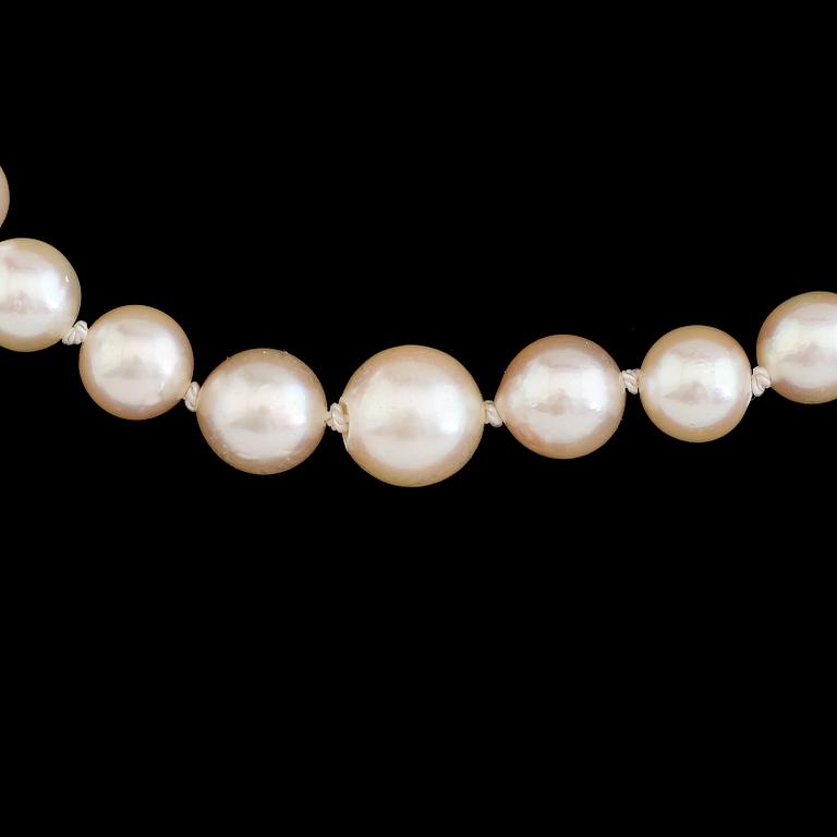 PÄRLCOLLIER, odlade pärlor.