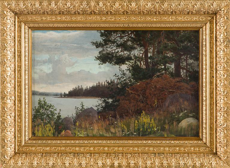 Fanny Churberg, Dry Twigs at the Shore.