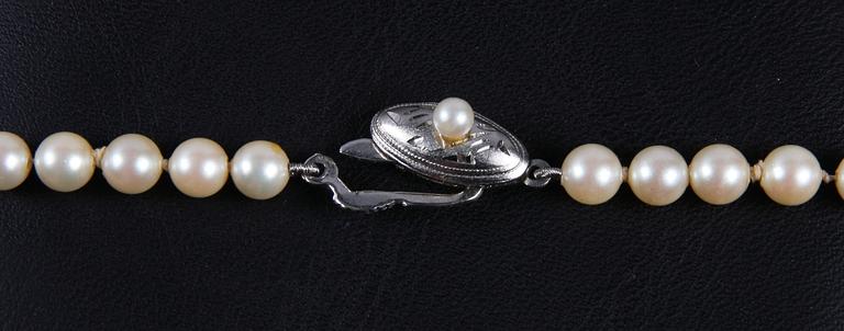 PÄRLCOLLIER.