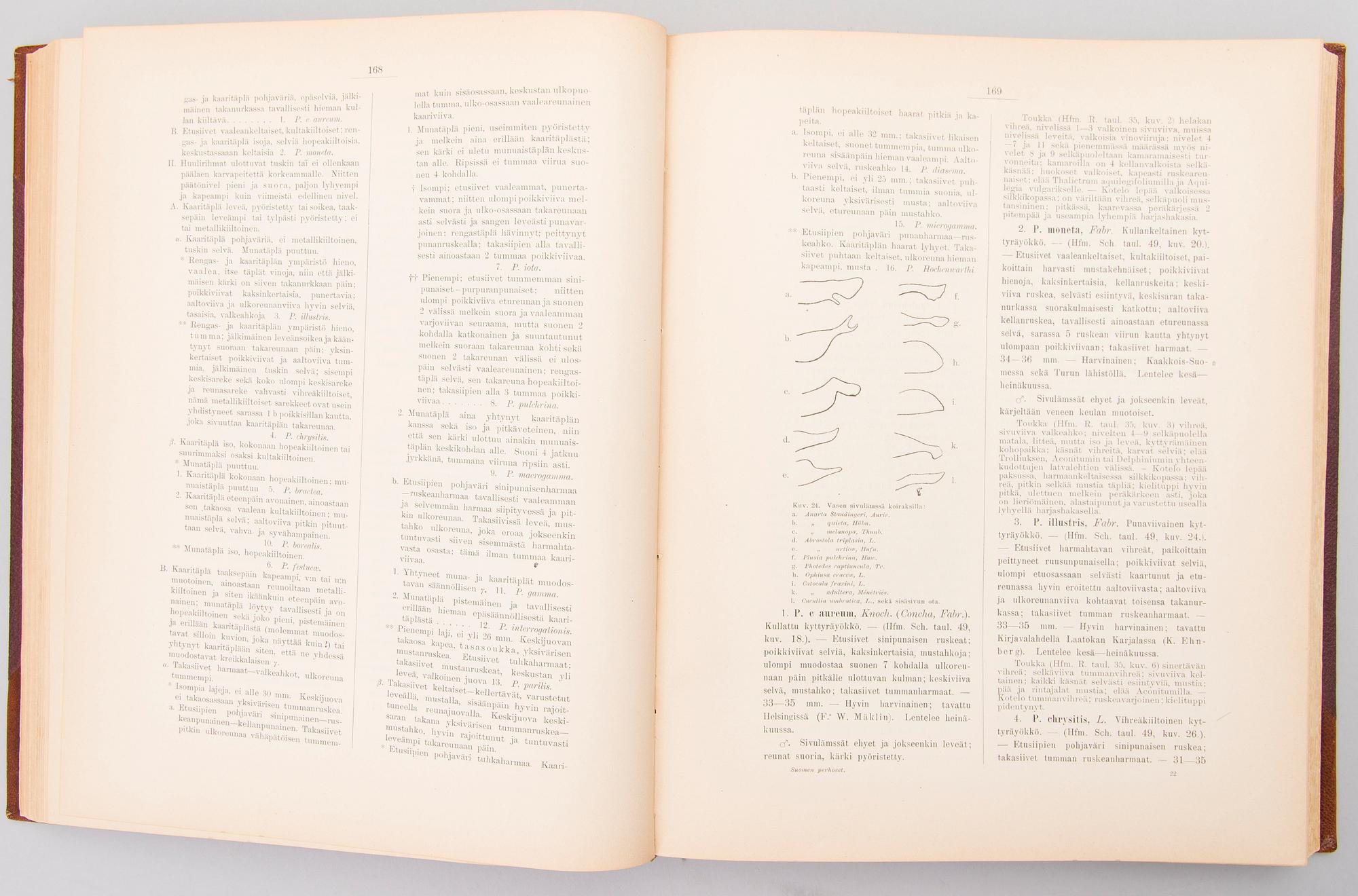 Four books about butterflies in Sweden, Finland and former Soviet Union. 1900-2003.